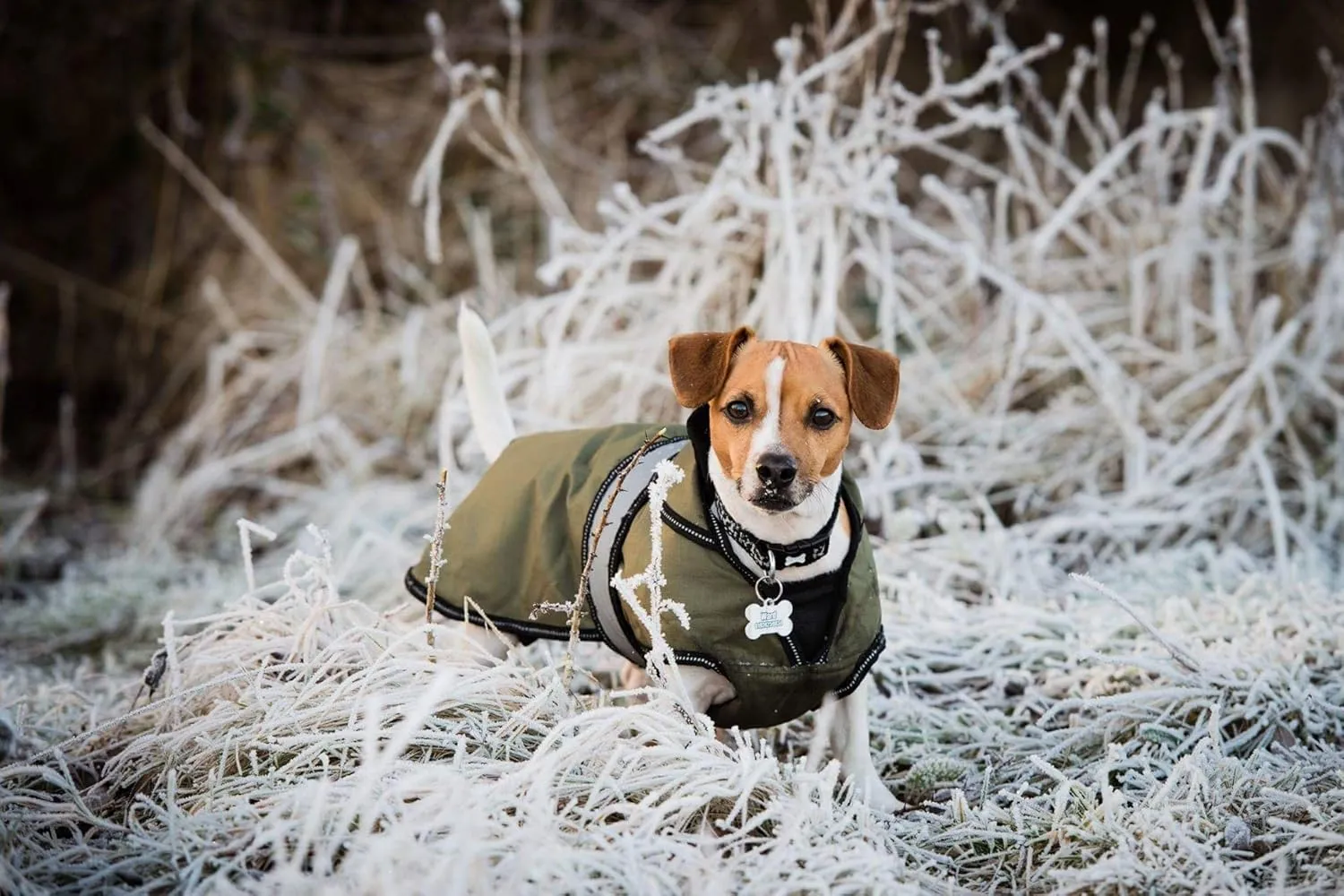2 in 1 Light Reflective Four Seasons Removable Polar Lining Khaki Dog/Puppy Coat 14 Inch 35 cm