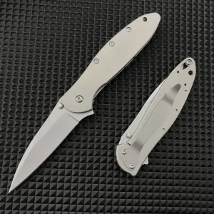 7-Inch EDC Leek Folding Pocket Knife,Assisted Knife with Frame Lock and Pocket Clip,5Cr15 Mov Blade and Stainless Steel Handle,Sharp Camping Survival Hiking Knife