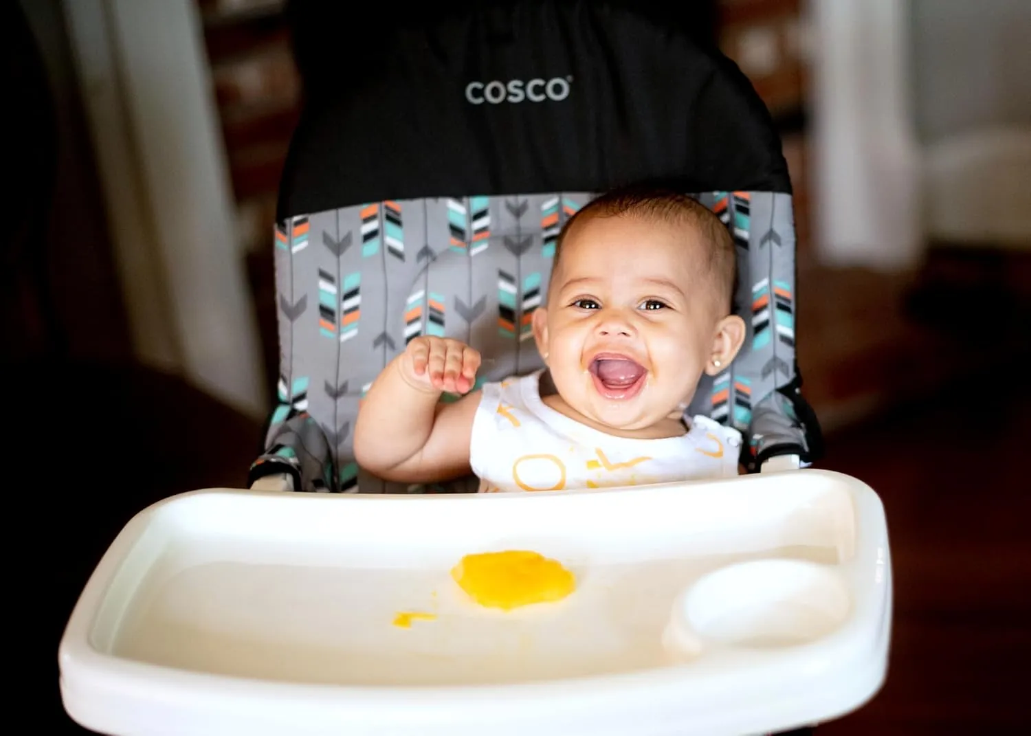 Cosco Kids Simple Fold Highchair for Baby, Simple Foldable High Chair, Convenient, Lightweight, and Compact Design, Comet