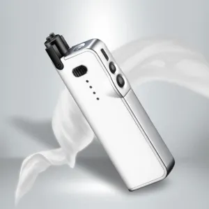 Creative Retractable Charging Windproof Flameless Lighter