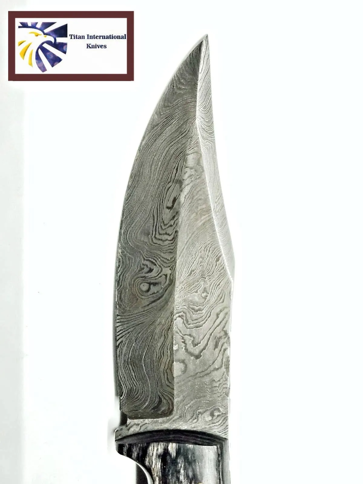 Damascus Steel Hunting Knife-Titan Int.