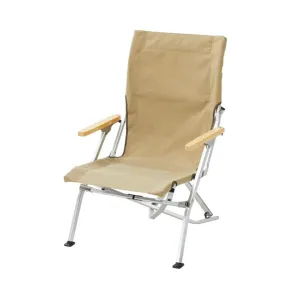 Folding Beach Chair