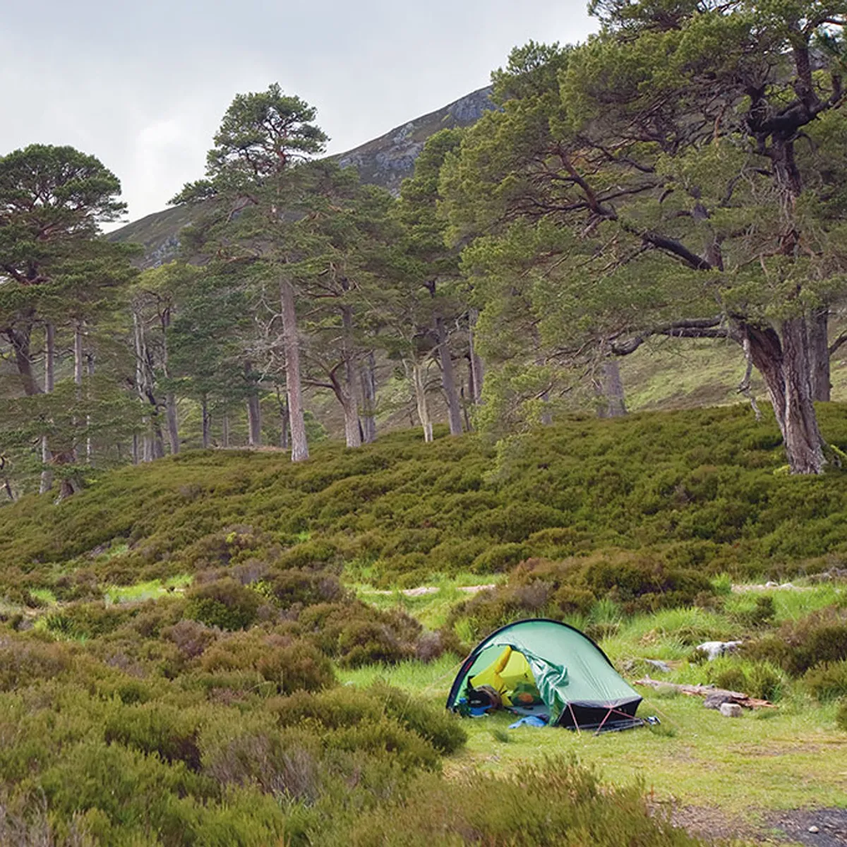 Hilleberg Akto Tent