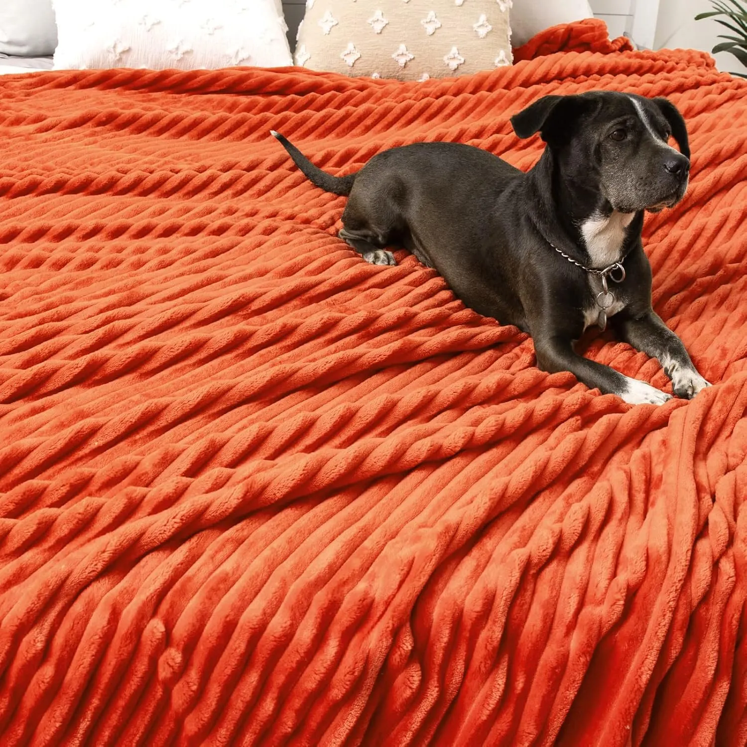 MIULEE Fleece Throw Blanket for Couch 300GSM Super Soft Lightweight Plush Striped, Fall Burnt Orange Warm Cozy Breathable Ribbed Blanket for Bed/Sofa, Throw Size 50"x60"