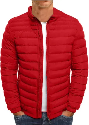 RTRDE Men's Light Puffer Jacket Winter Lightweight Jacket Warm Insulated Windproof Quilted Coat Down, M-2XL