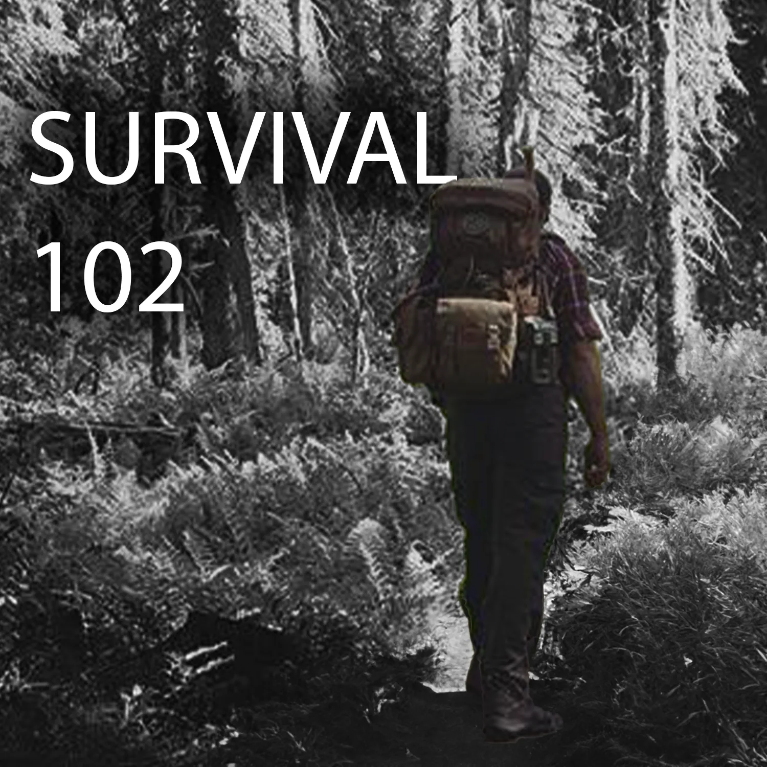 Survival 102 - Intro to Land Navigation - August 15-17, 2025,  TN