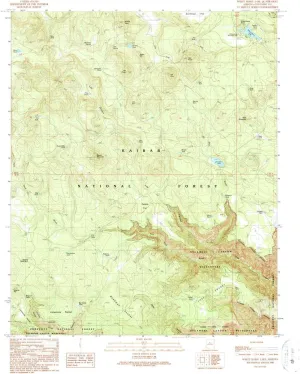 White Horse Lake AZ topo map, 1:24000 Scale, 7.5 X 7.5 Minute, Historical, 1989, Updated 1990, 26.9 x 22 in